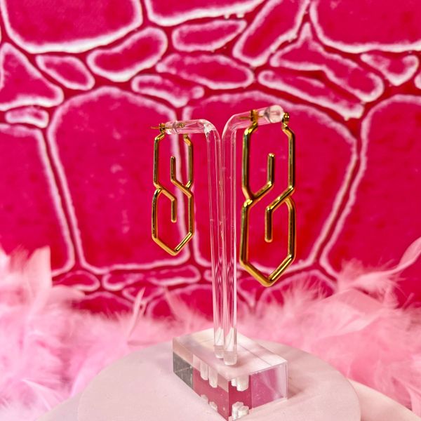 S Earring