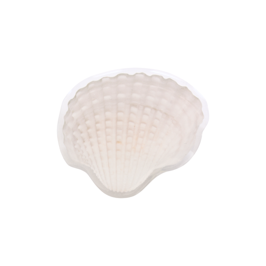Shell Pop Socket