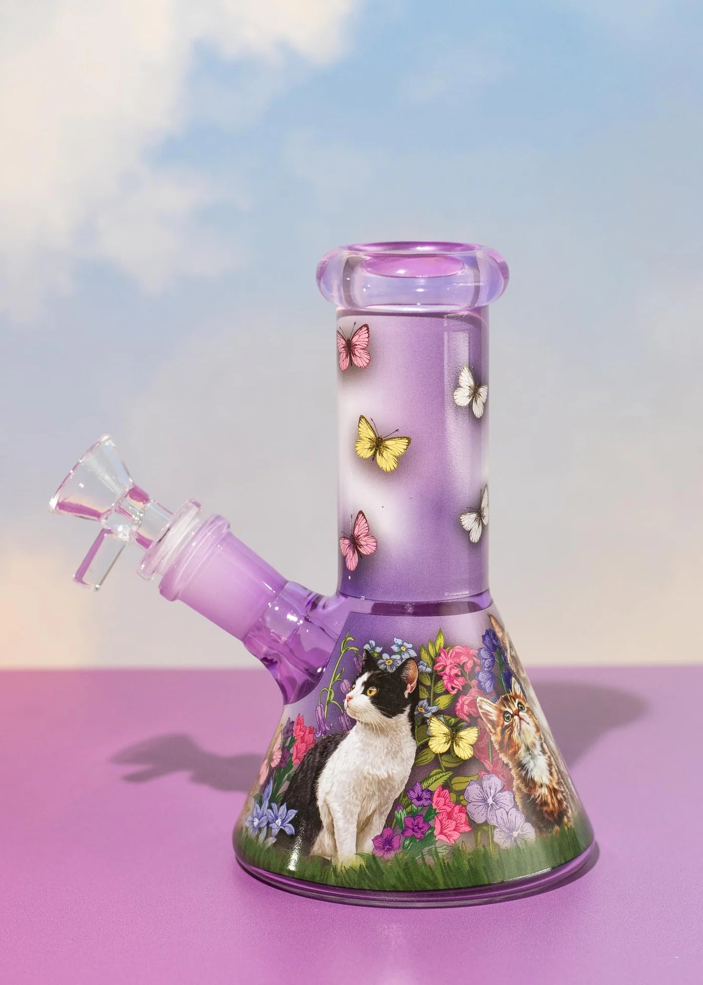 Cat Bong