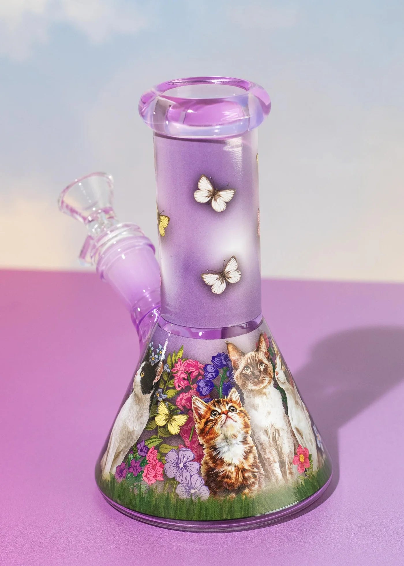 Cat Bong